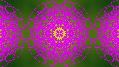 Background Flowers Kaleida. Stock Footage 73041617