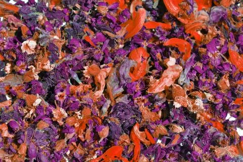 Background from flowers Stock Photos