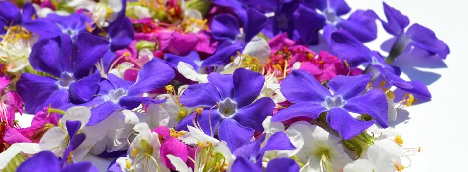 Background flowers Stock Photos