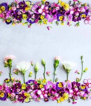 Background of  flowers Stock Photos