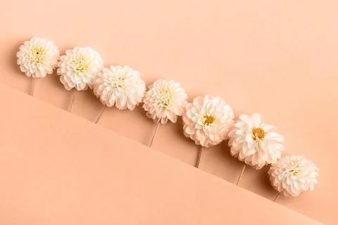 Background of flowers Stock Photos