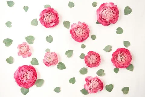 Background with flowers. Valentine's day romantic background . Space for text Stock Photos