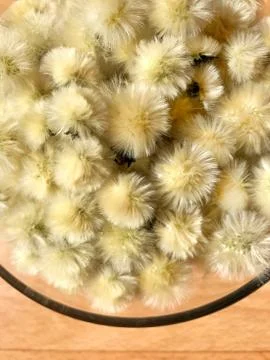 Background - fluffy balls of dandelions on the table. Stock Photos