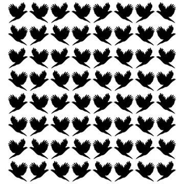 Background of flying birds. Stock Illustration