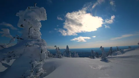 On the background of flying clouds winter Christmas trees in the snow, the magic Stock Footage 88135929