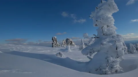 On the background of flying clouds winter firs and rocks in the snow, the magic Stock Footage 88135875