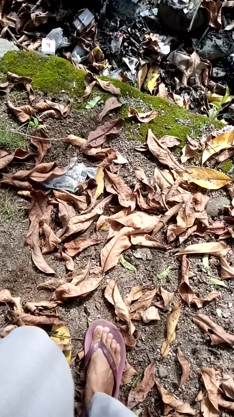 Background Video stock 229598374