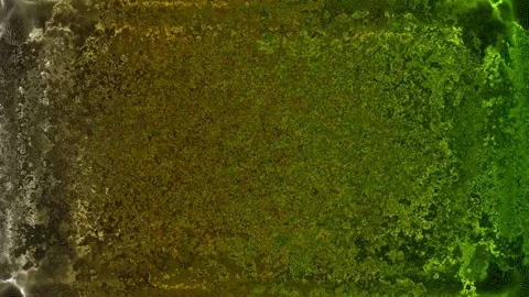 Background Stock Footage 258499806