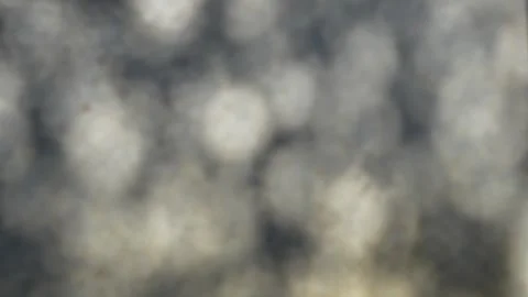 Background Stock Footage 300617771