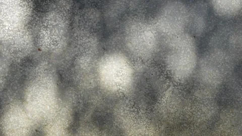 Background Stock Footage 300617851