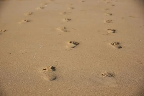 Background of footprints on the beach Stock Photos