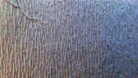 Background in the form of an abstract relief Stock-Footage 158898980