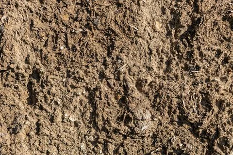 Background in the form of a peeling old wall Foto stock