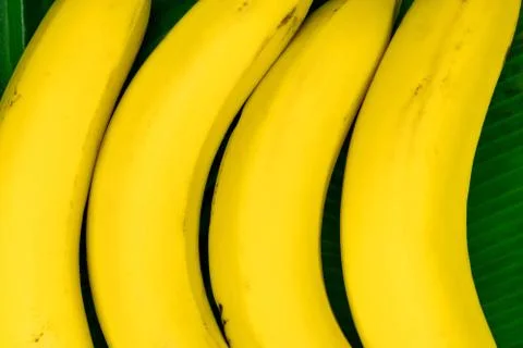 Background of Four Bananas Placed on Fresh Green Banana Leaves Stock Photos