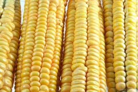 Background of four corn Stock Photos