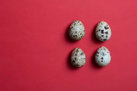 Background with four small quail eggs. Eco products. Horizontal format, top v Stock Photos