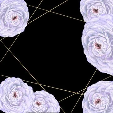 Background frame with black place for text with decoration of beautiful flowers Stock Illustration