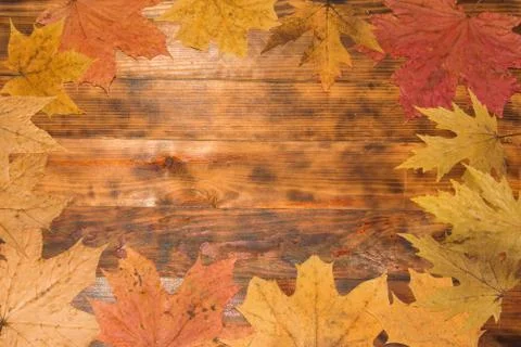 Background with Frame Of Many Different Fallen Autumn Leaves on dark wooden b Stock Photos