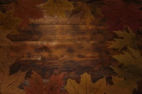 Background with Frame Of Many Different Fallen Autumn Leaves on dark wooden b Stock Photos