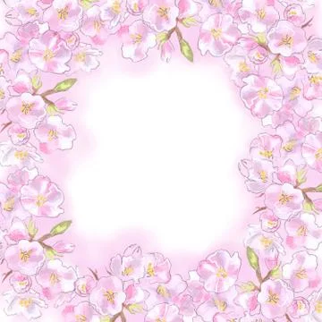 Background frame of pink spring flowers for decoration Stock Illustration