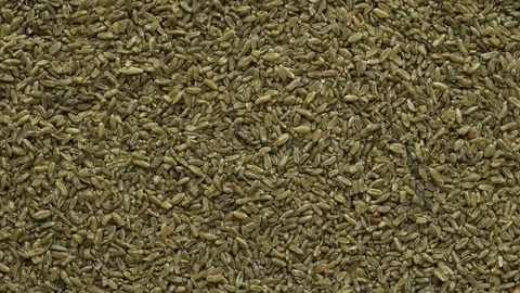 Background of freekeh grains. Stock Footage 277278100