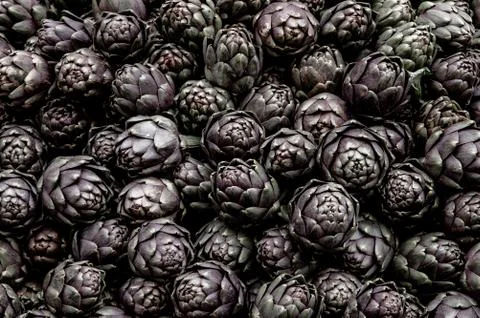 Background of fresh artichokes Stock Photos