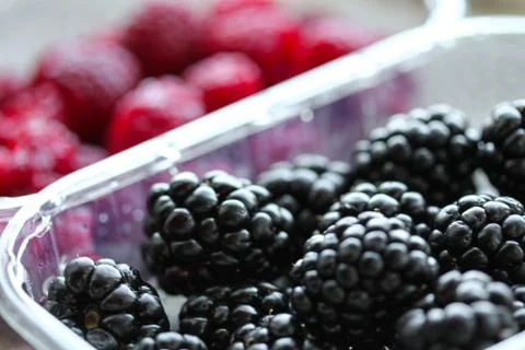 Background with fresh berries in plastic boxes closeup Stock Photos