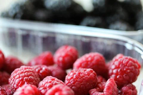 Background with fresh berries in plastic boxes closeup Stock Photos