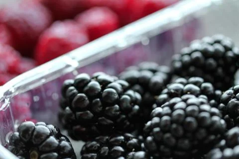 Background with fresh berries in plastic boxes closeup Stock Photos