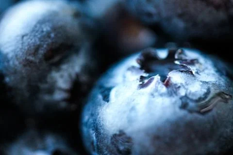 Background with fresh blueberries closeup Stock Photos