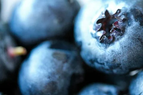 Background with fresh blueberries closeup Stock Photos
