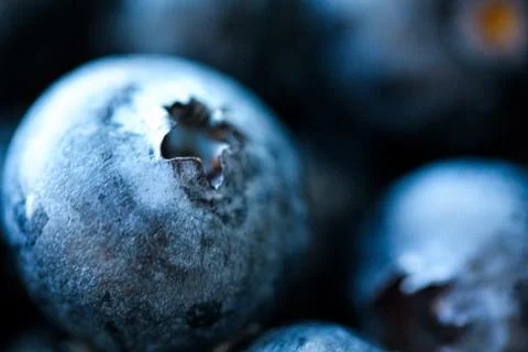 Background with fresh blueberries closeup Stock Photos