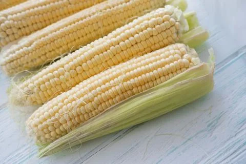 Background with fresh corn close-up. Farm harvest Stock Photos