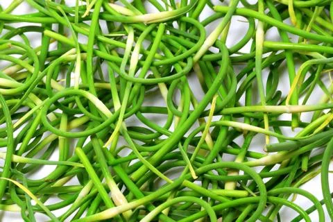 Background of fresh garlic scape Stock Photos