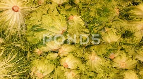 Background fresh natural green salad Stock Photos