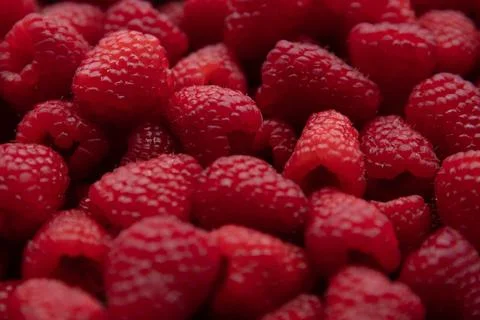 Background of fresh raspberries, close-up. Stock Photos