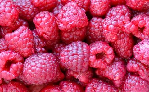 Background with fresh raspberry closeup Stock Photos