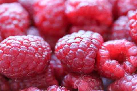 Background with fresh raspberry closeup Stock Photos
