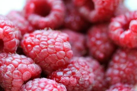 Background with fresh raspberry closeup Stock Photos