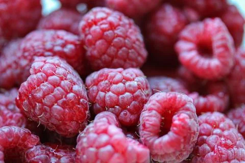 Background with fresh raspberry closeup Stock Photos