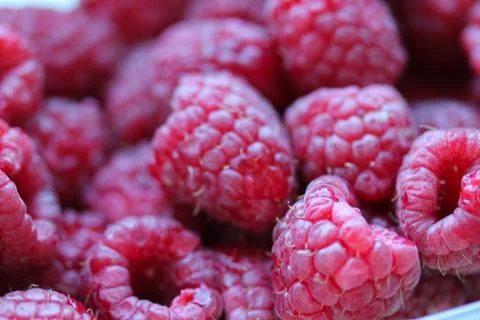 Background with fresh raspberry closeup Stock Photos