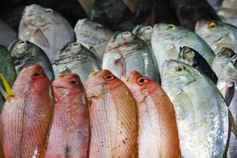 Background of fresh red fish Foto stock