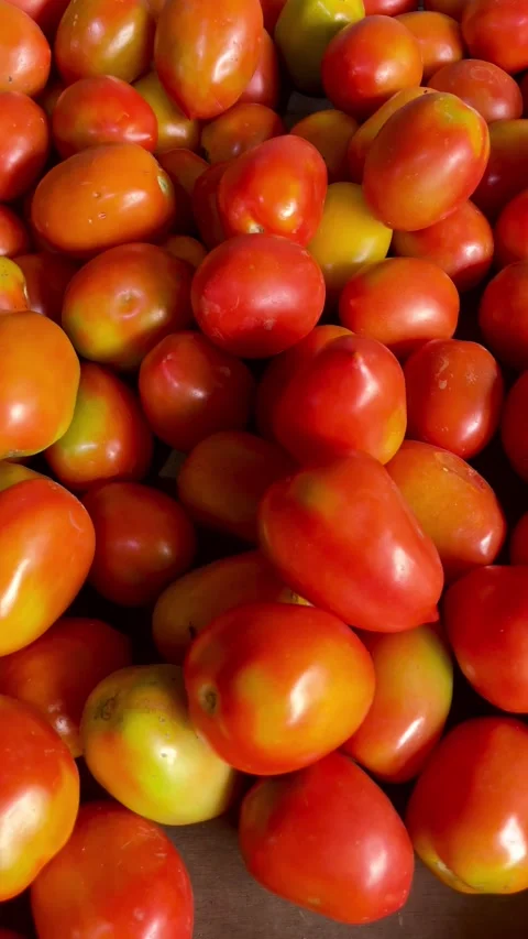 Background of fresh red tomato pile. Fresh tomato pile in supermarket Stock-Footage 290884268