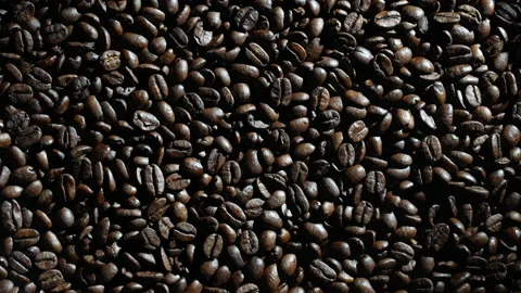 Background of fresh roasted coffee beans, close up, top view, rotating Stock Footage 209457882