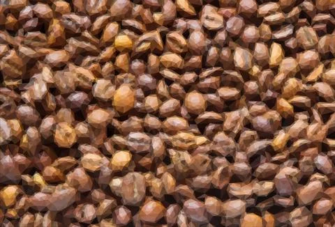 Background of fresh roasted coffee beans. Texture of coffee beans. arabica Stock Illustration