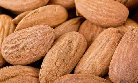 Background of fresh shelled almonds Stock Photos