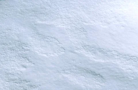Background of fresh snow 写真素材