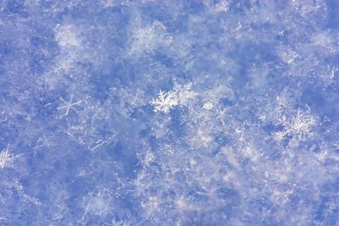 Background of fresh snow. Snowfall texture background. Winter bright fallin.. 스톡 사진