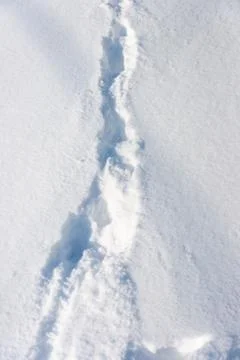 Background of fresh snow texture Stock Photos