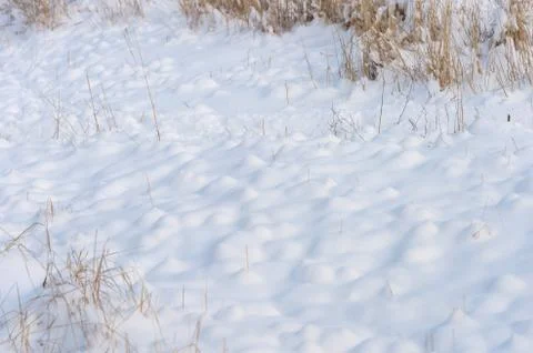 Background of fresh snow texture Stock Photos
